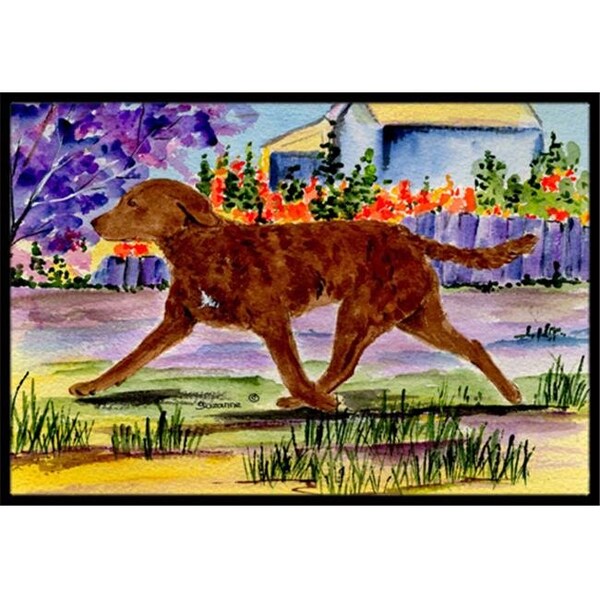 Carolines Treasures Carolines Treasures SS8435MAT 18 x 27 in. Chesapeake Bay Retriever Indoor Outdoor Doormat SS8435MAT - main